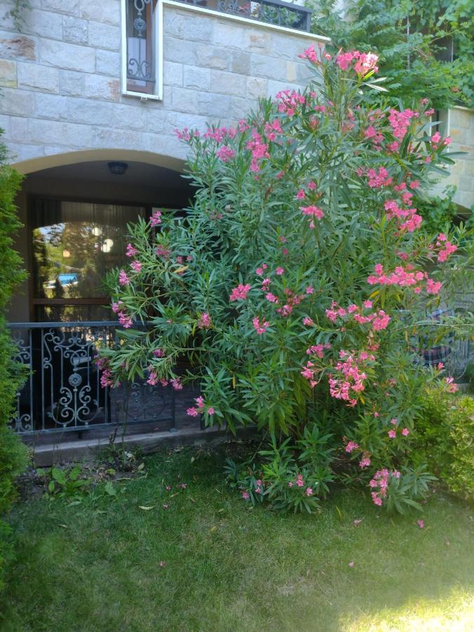 Destination Bulgaria 2000 Cascadas Private Summer Family Apartments Sunny Beach Eksteriør billede